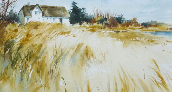 Föhr 1
